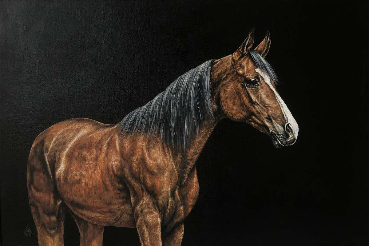 Artist: Haider Ali Tiwana<br/>Title: "Cavalier Chronicles" <br> Medium: Oil Paints on Canvas <br>Size: 26 x 36 in