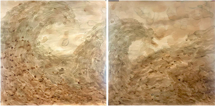 Artist: Hira Noor <br/>Title: "Summon The People Diptych<br> Medium: Tea and Pigment on Paper <br>Size: 58 x 59 in